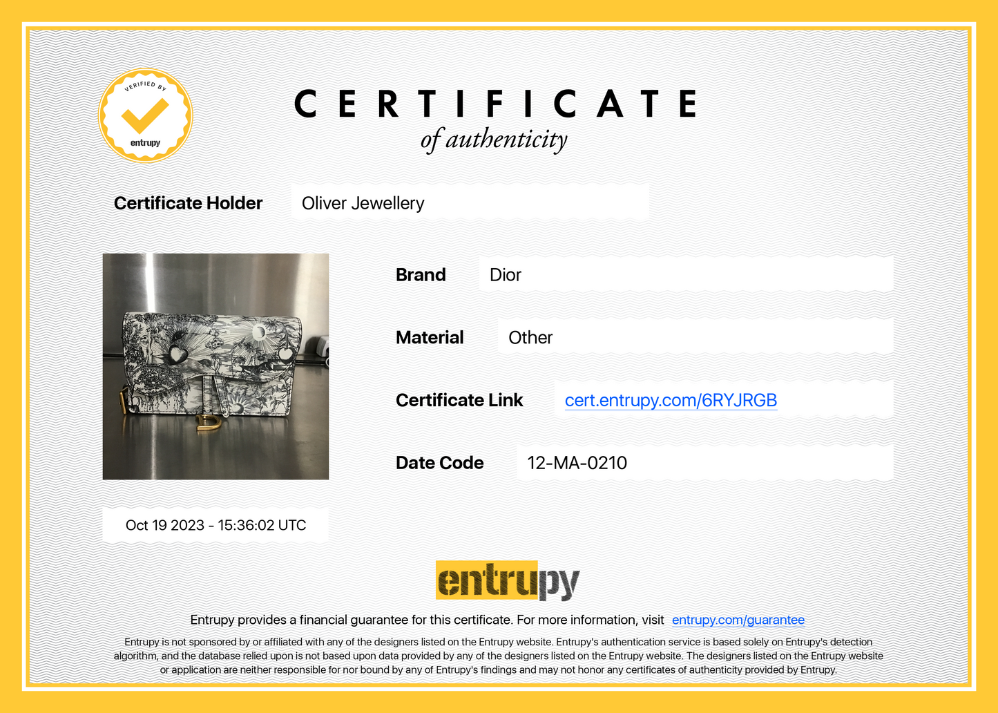 Christian Dior 2020 Jardin Naturel Print Saddle Belt Pouch