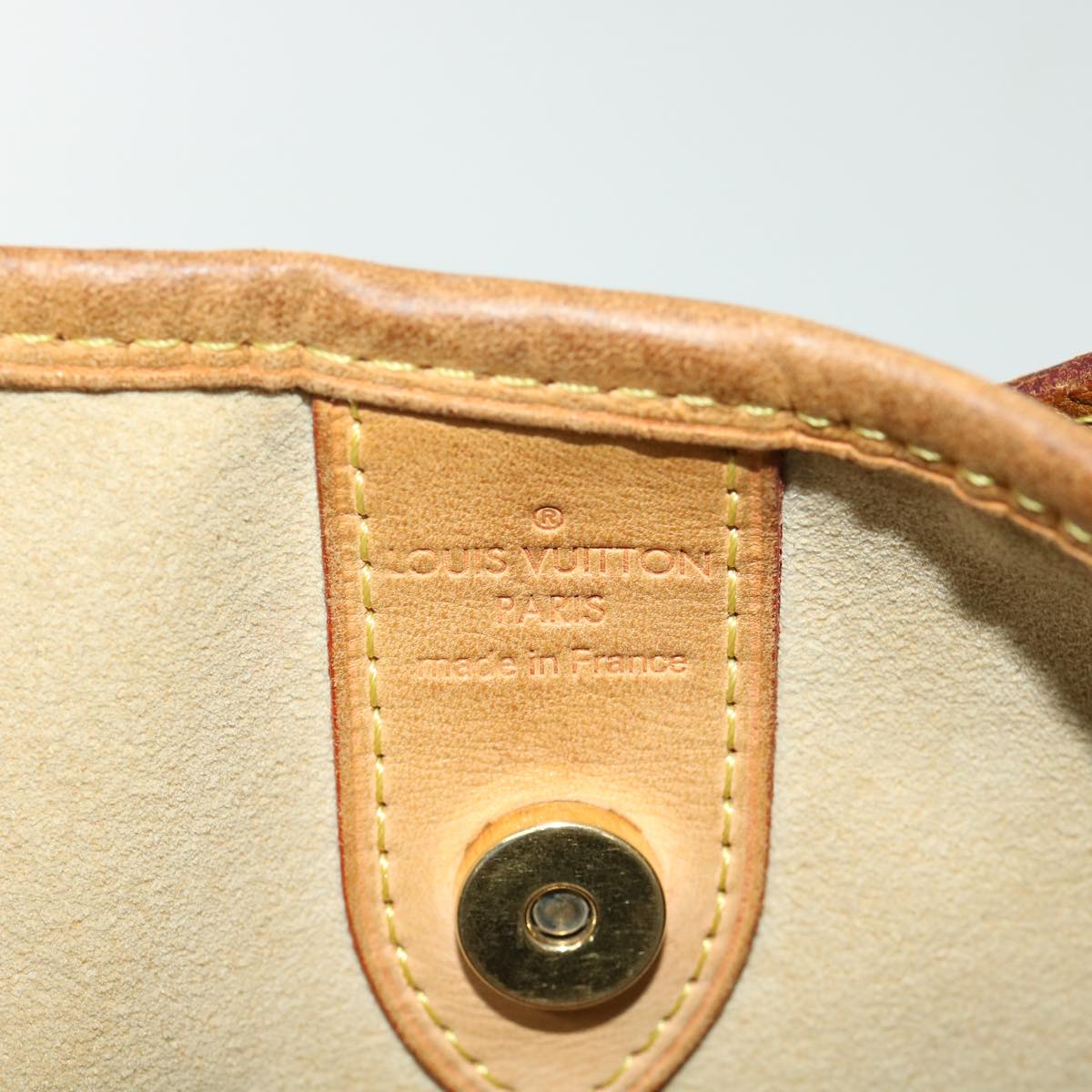 Louis Vuitton Galiera Shoulder Bag