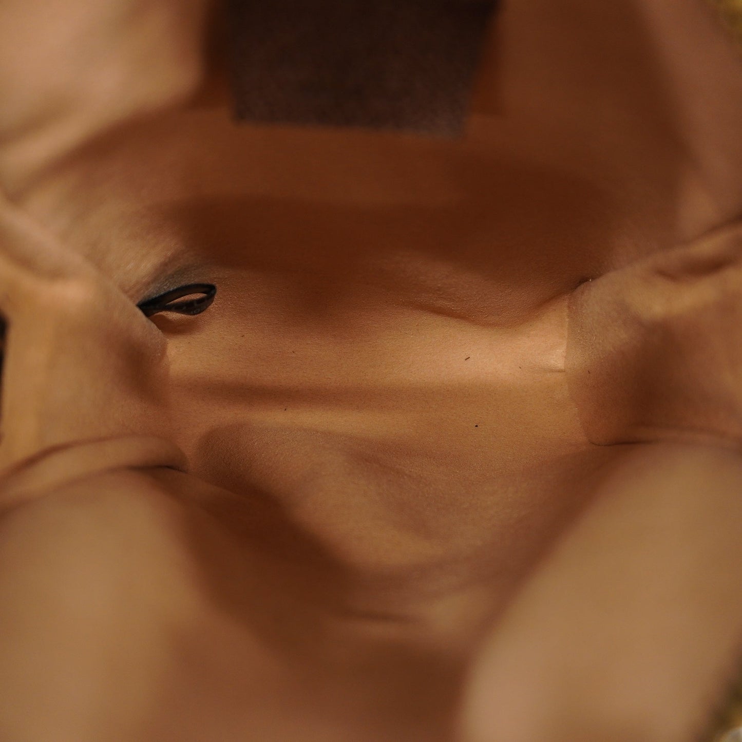 GUCCIAuth  Ophidia 598127 Women's GG Supreme,Leather Beige,Brown