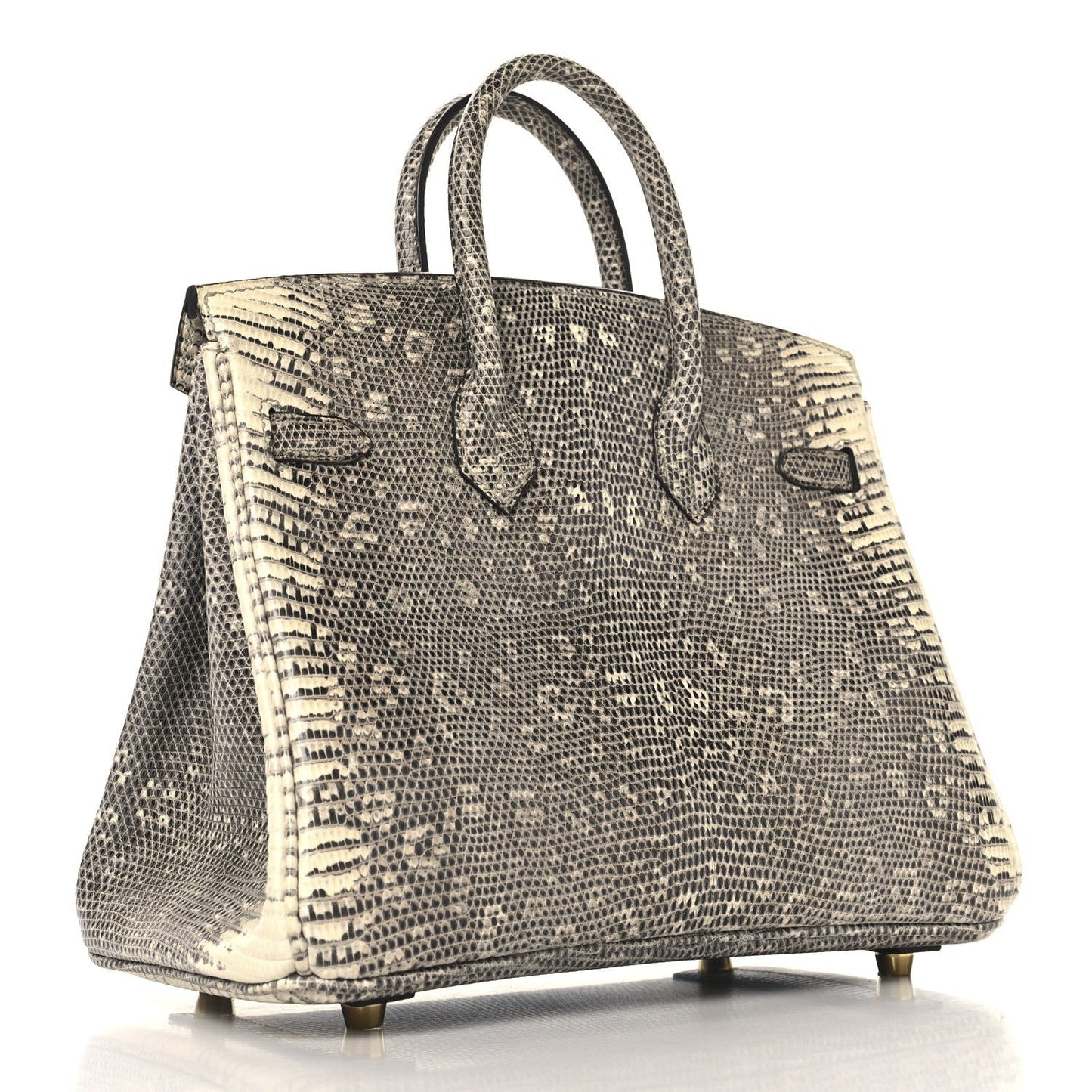 Hermes Lizard Birkin 25 Ombre
