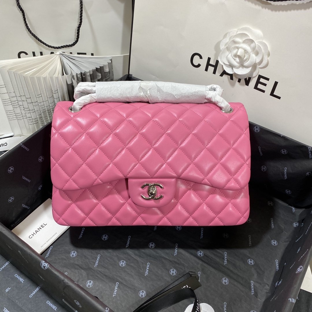 CHLLarge Classic Handbag Silver Hardware PiNike For Women Handbags, Shoulder Bags 11.8in/30cm