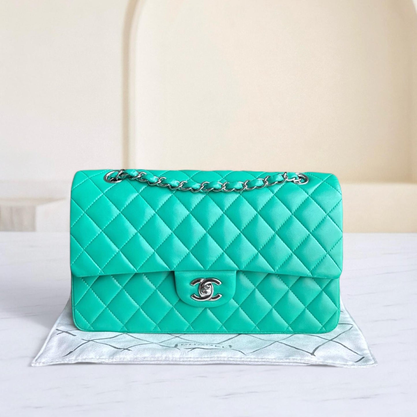Chanel Classic Flap Medium - 25CM Quilted Lambskin Light Green Silver Hardware Series 16
