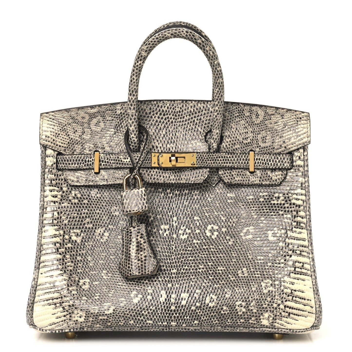 Hermes Lizard Birkin 25 Ombre