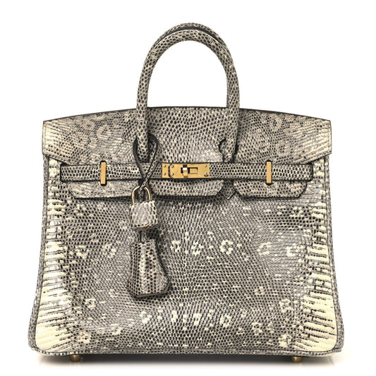 Hermes Lizard Birkin 25 Ombre