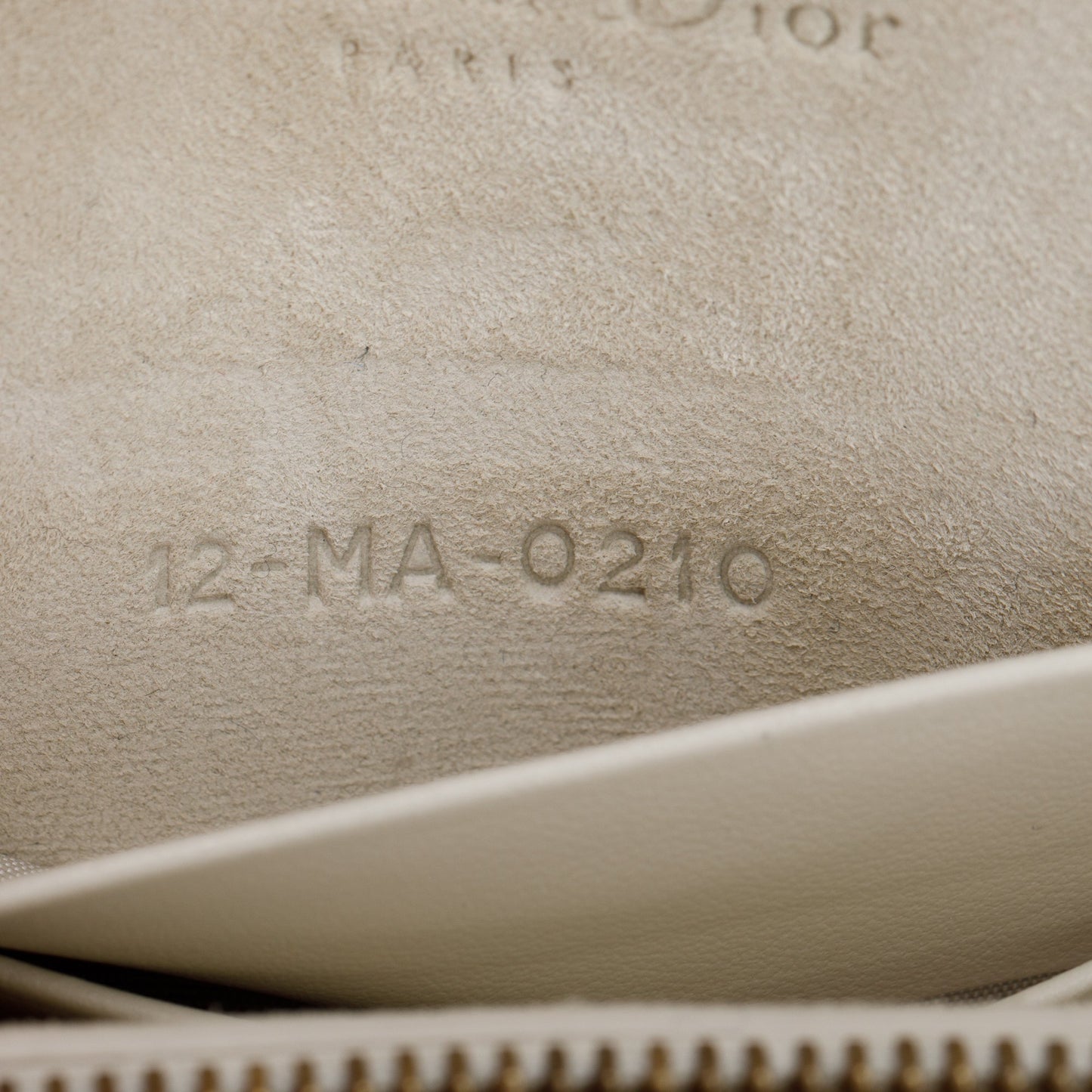 Christian Dior 2020 Jardin Naturel Print Saddle Belt Pouch