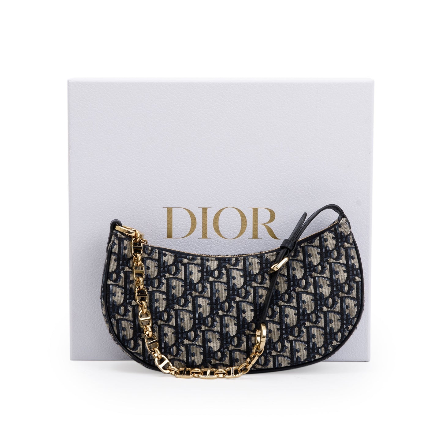 Christian Dior 2023 Oblique CD Lounge Bag