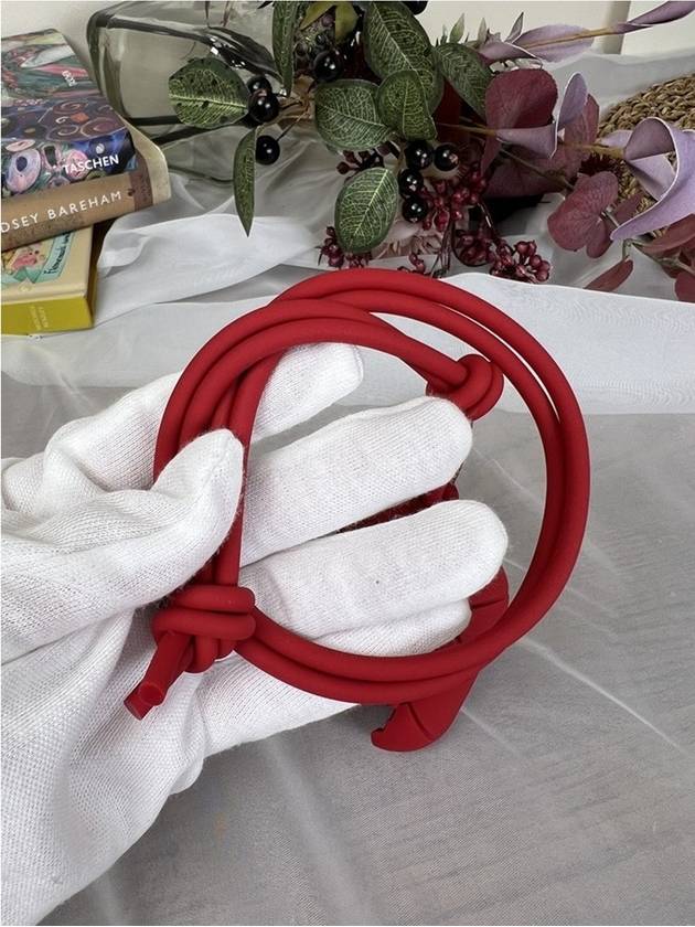 Luxury Bottega Veneta Intrecciato Airpod Pro Case Burgundy