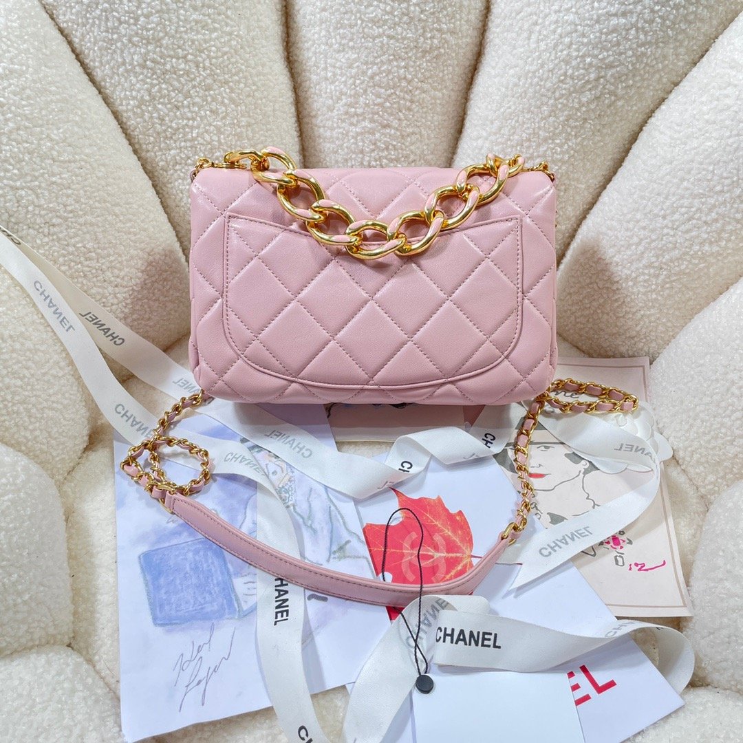 CHLLarge Top Qualityap Bag Gold Hardware PiNike For Women Handbags, Shoulder Bags 9.1in/23cm AS3367