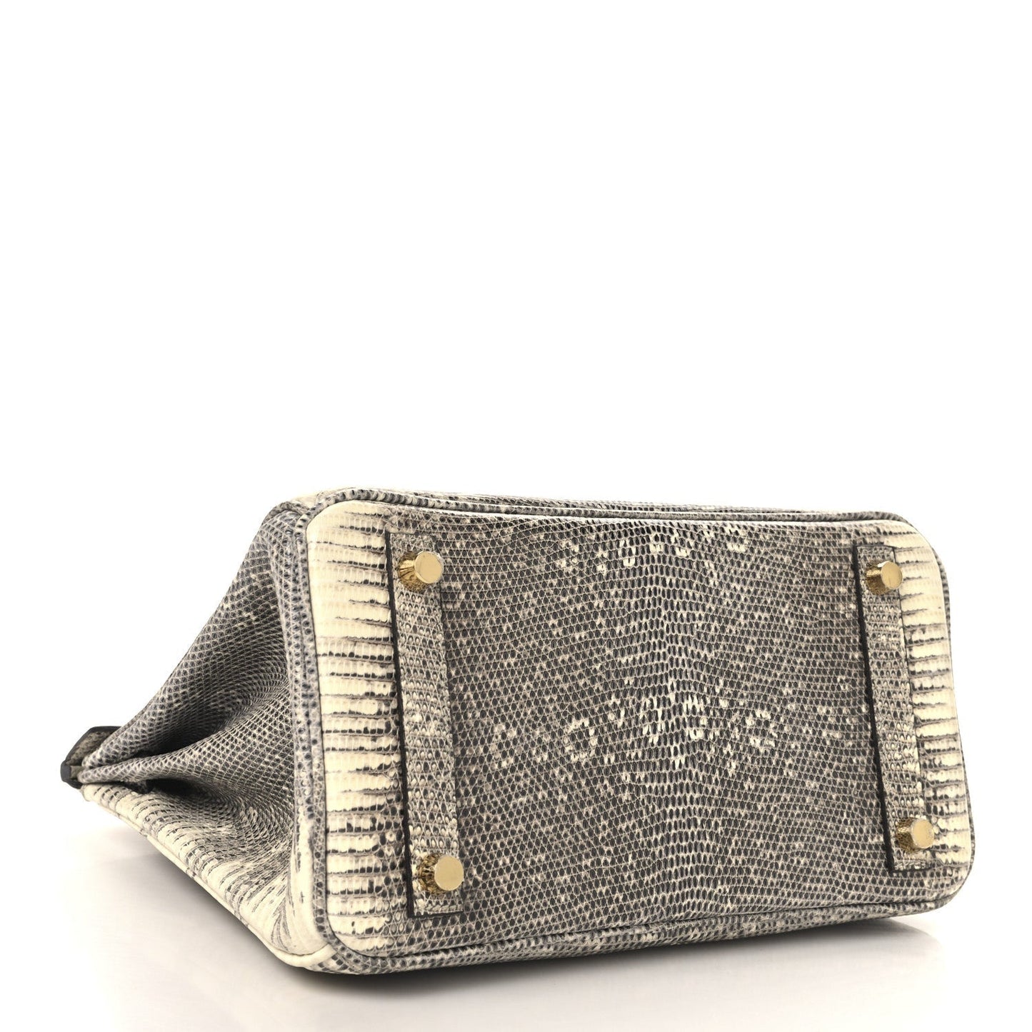 Hermes Lizard Birkin 25 Ombre