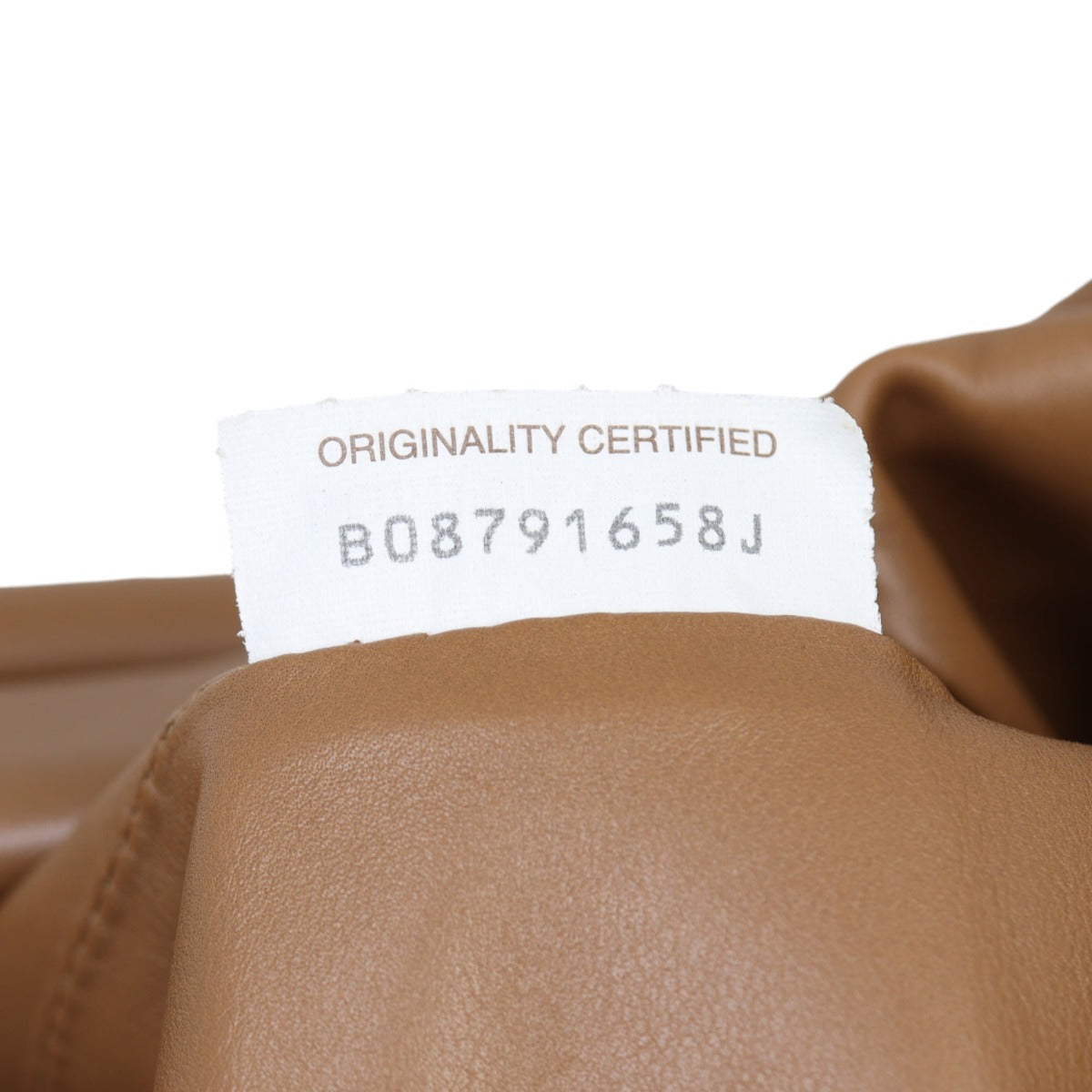 Bottega Veneta The Pouch