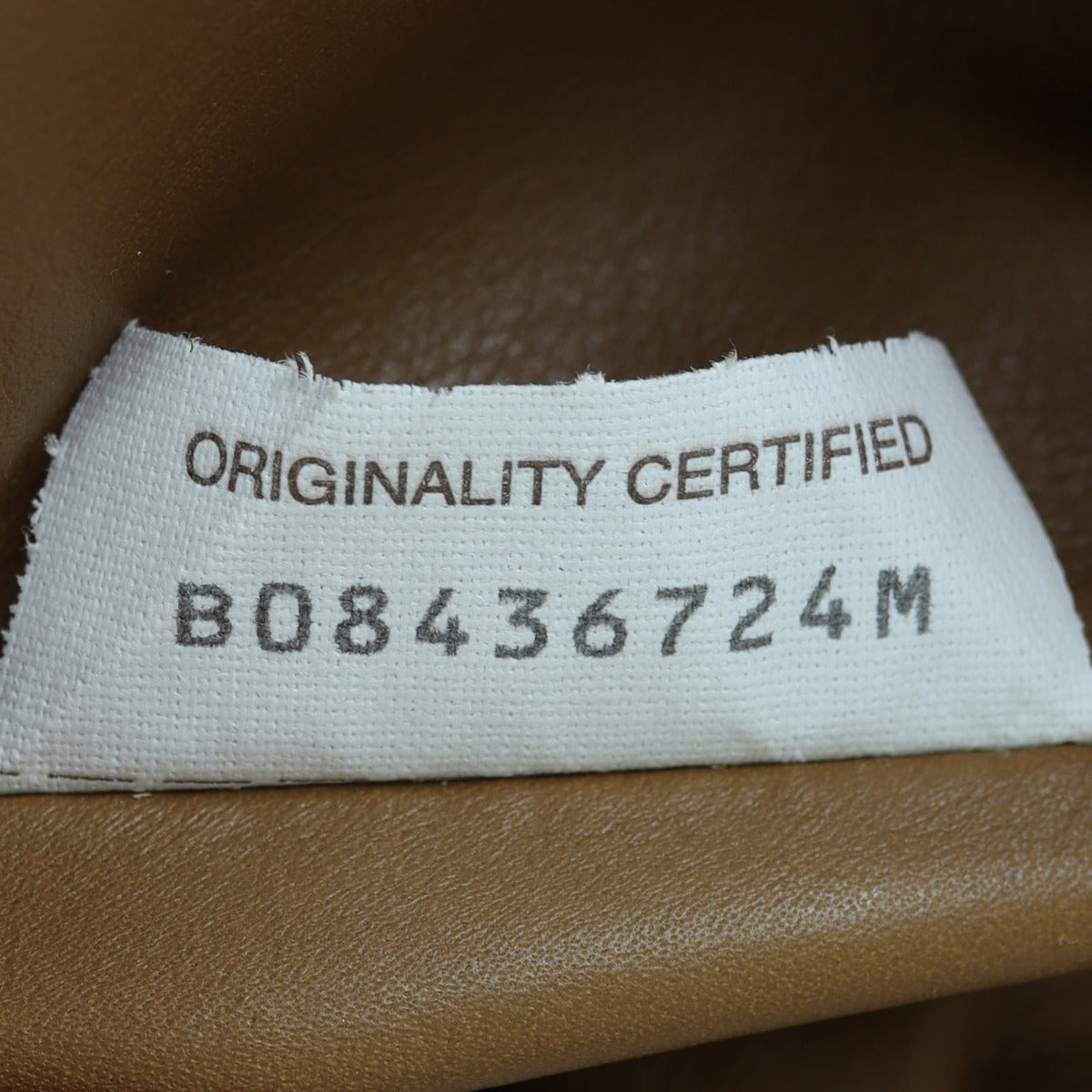 Bottega Veneta The Pouch