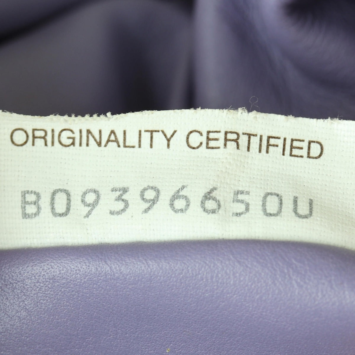 Bottega Veneta The Mini Pouch