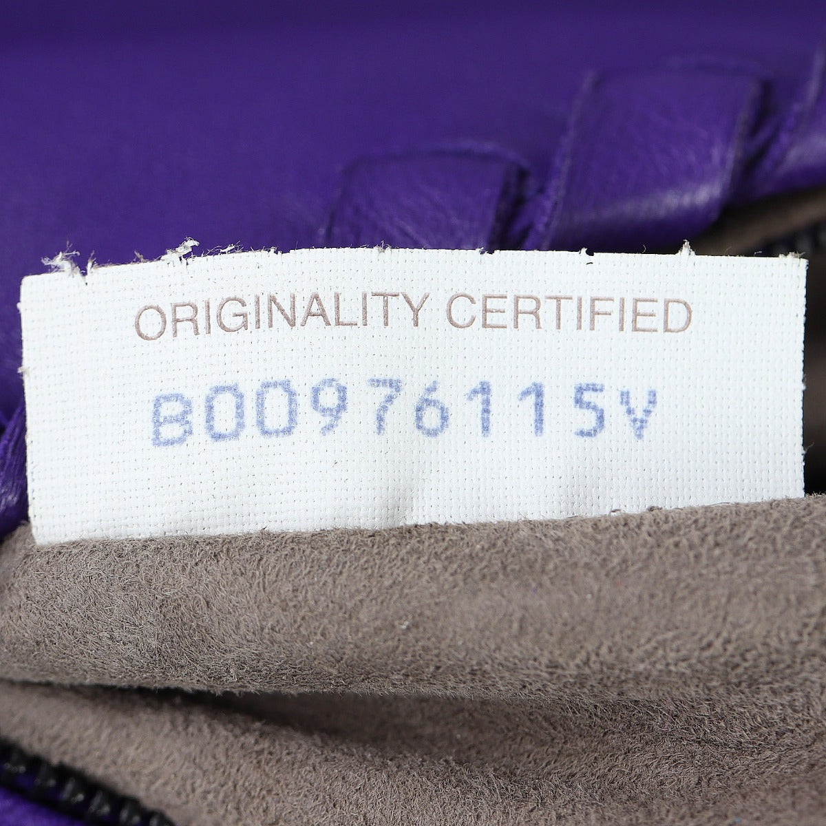 Bottega Veneta Nappa Ayers Python Trim Shoulder Bag