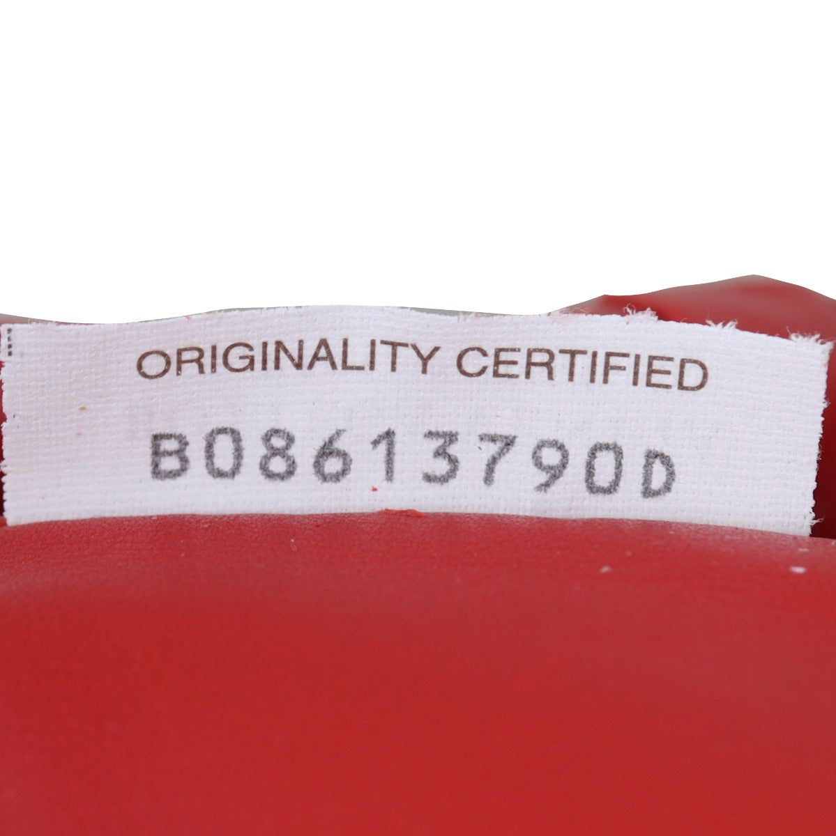 Bottega Veneta The Pouch