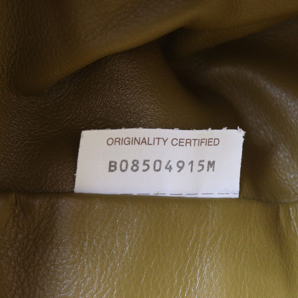 Bottega Veneta The Pouch