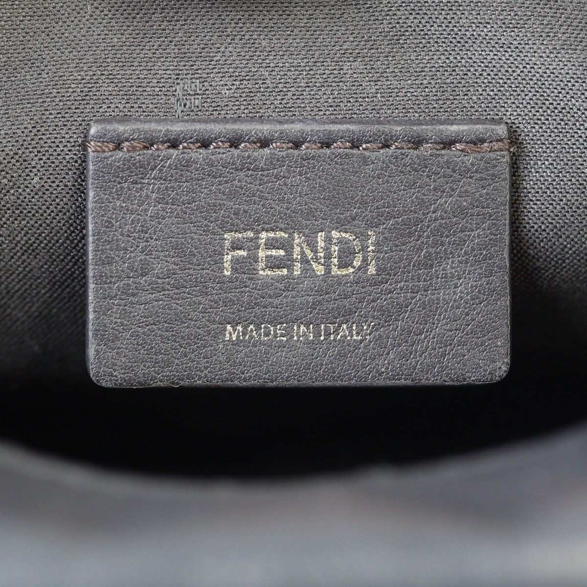 Fendi FF 1974 Camera Bag